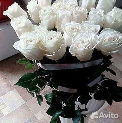 101 роза цветы букеты доставка 25 51 101 роза