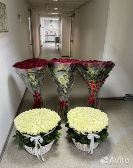 Цветы розы с доставкой 25 роз, 51 роза, 101 роза