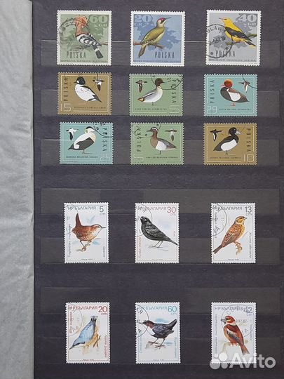 Коллекция почтовых марок 