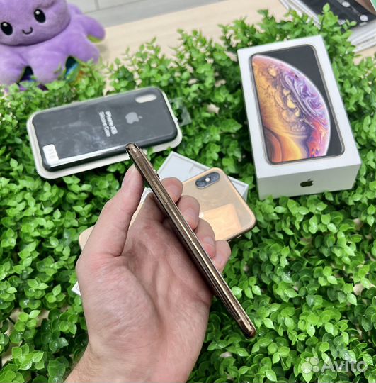 iPhone Xs, 256 ГБ