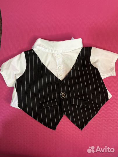 Одежда для собак мелких пород мальчик