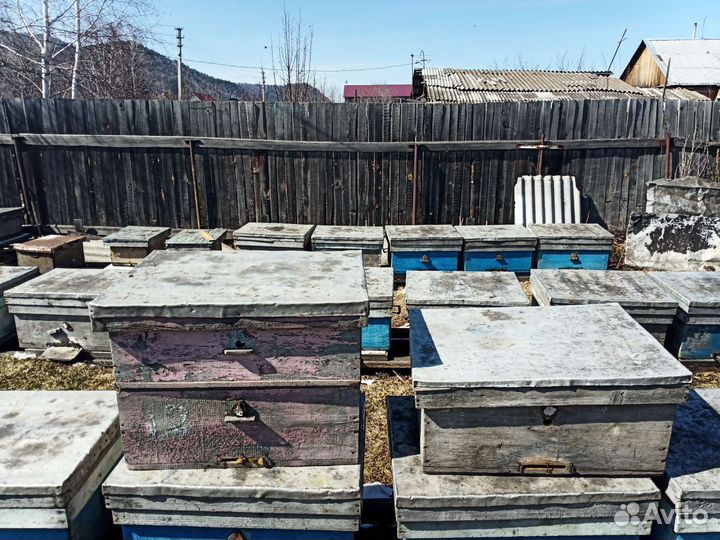 Ульи для пчел бу