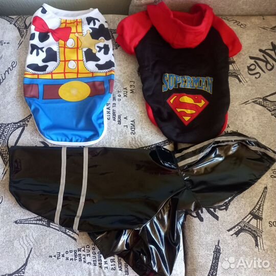 Одежда для собак