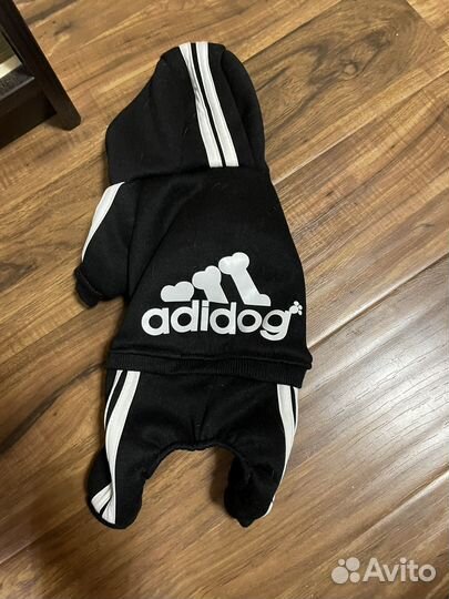 Одежда для собак мелких пород