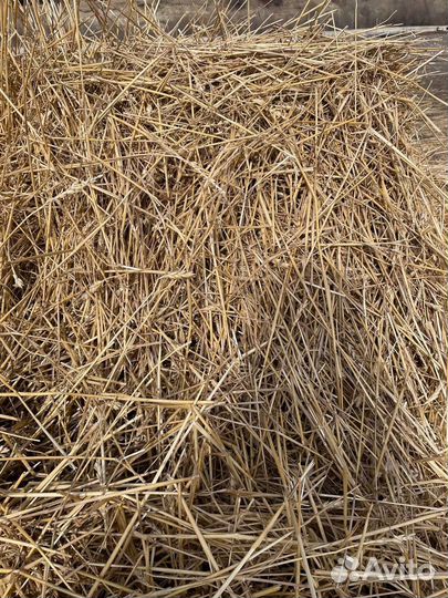 Солома, пшеничная солома