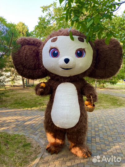 Шуточный стриптиз звезда поздравление аниматор