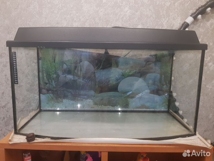 Аквариум
