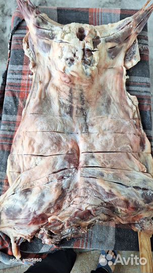 Мясо.Колбаса и Курдюк