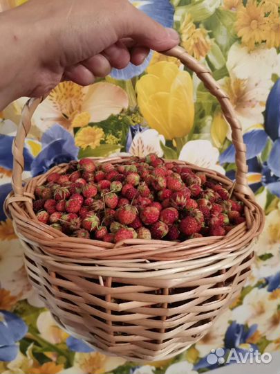 Корзина плетеная детская ягодная для ребёнка