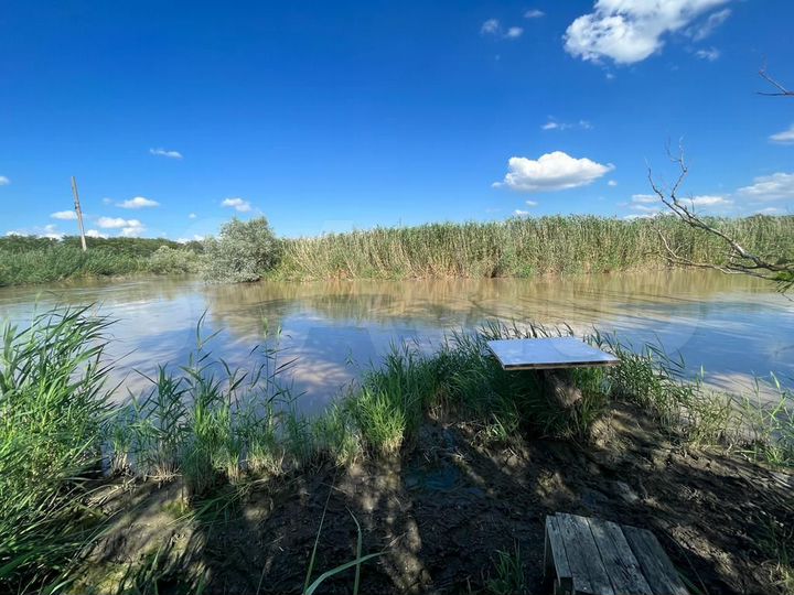 Участок 4,5 сот. (СНТ, ДНП)