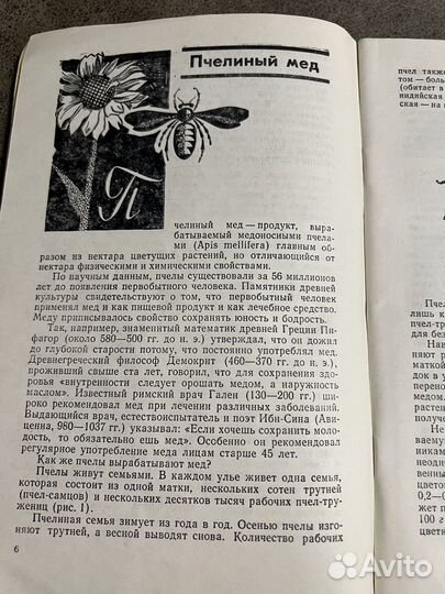 Лечение пчелиным медом и ядом