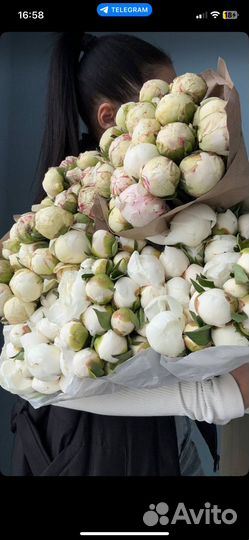 Пионы букет