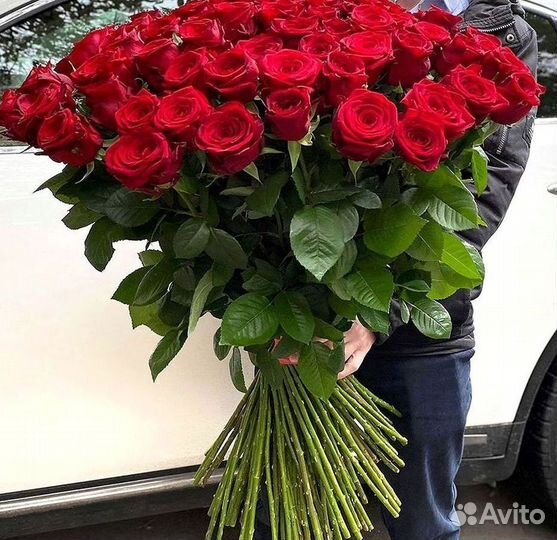 Высокие розы Гигантские розы Доставка цветов