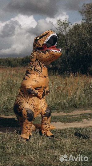 Оригинальное поздравление, фотосессия с дино