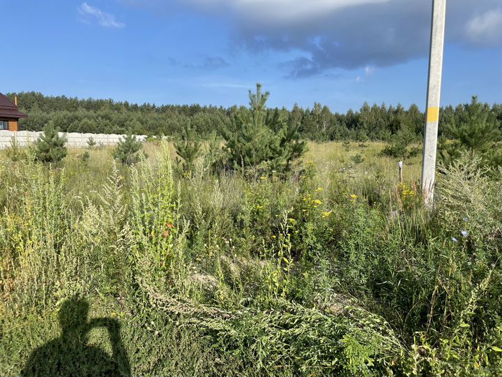 Участок 31 сот. (ИЖС)