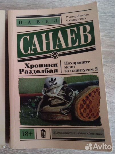 Книги Павел Санаев