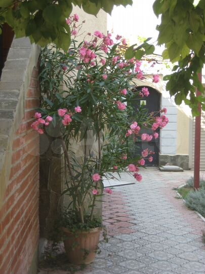 Комната 15 м² в 1-к., 1/1 эт.