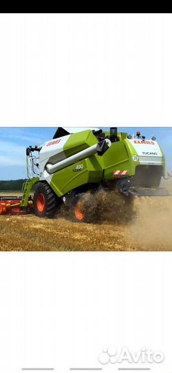 Уборка урожая комбайнами claas