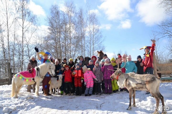 Прогулки на лошадях и поход в конный клуб