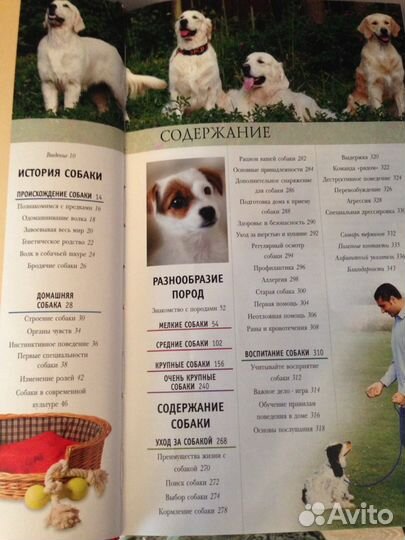 Новые книги и энциклопедии