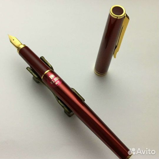 Перьевая ручка Platinum Riviere F