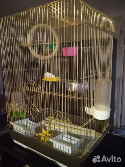 Клетка для попугая