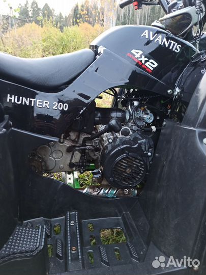 Avantis (Авантис) Hunter 200
