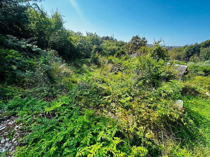 Участок 4,9 сот. (ИЖС)