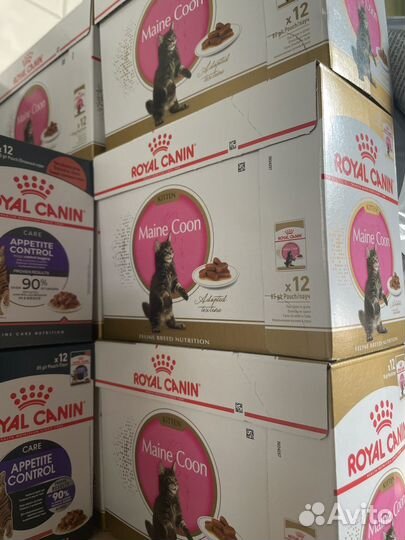 Корм для кошек Royal Canin Maine Coon Kitten