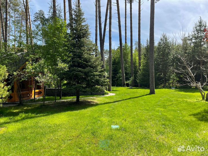 Рулонный газон от производителя