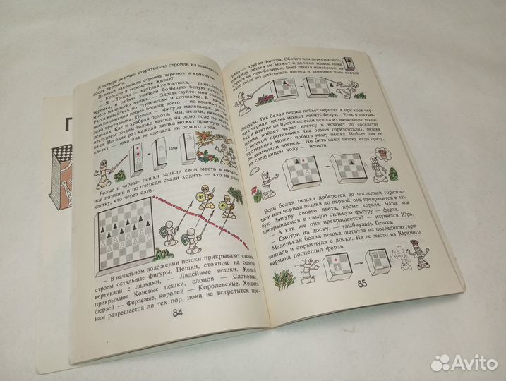 Приключения в шахматной стране