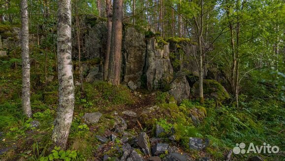 30.июл.23 Рускеала и Каменная Карелия /ка3039