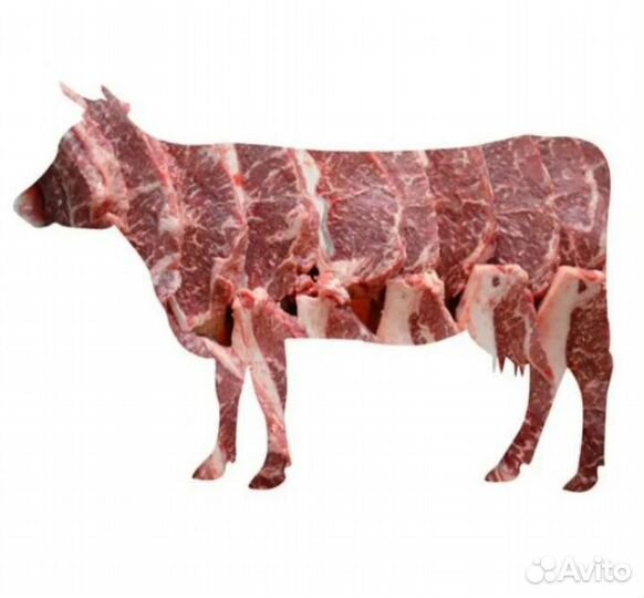Мясо говядина