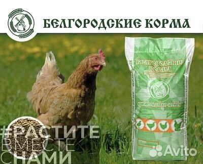 Комбикорм для кур-несушек