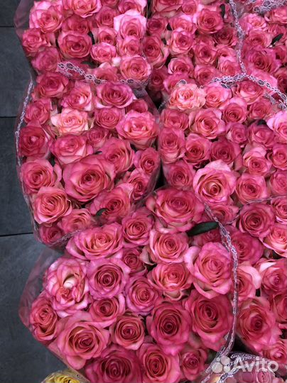 Цветы букеты с доставкой Роза Джумилия