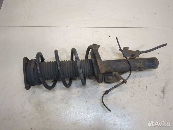 Амортизатор подвески Ford Focus 2, 2010