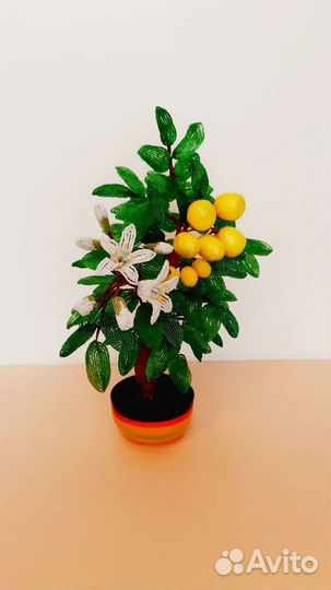 Лимонное дерево