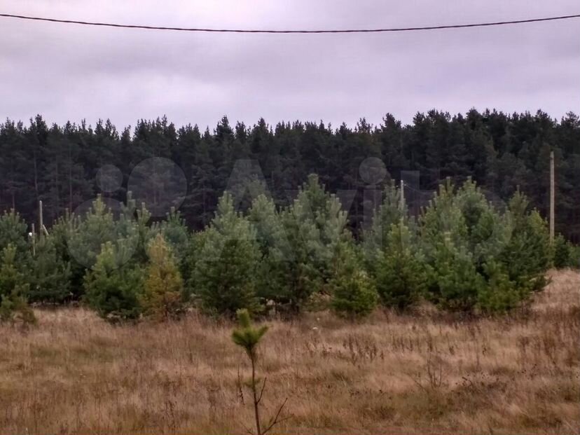 Участок 16 сот. (ИЖС)