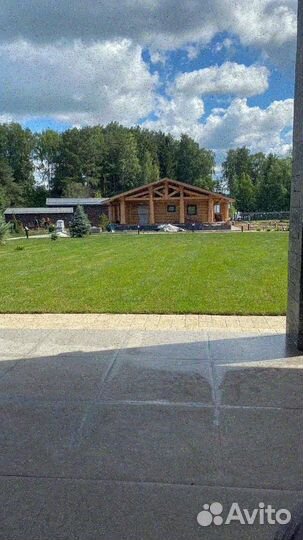 Рулонный газон