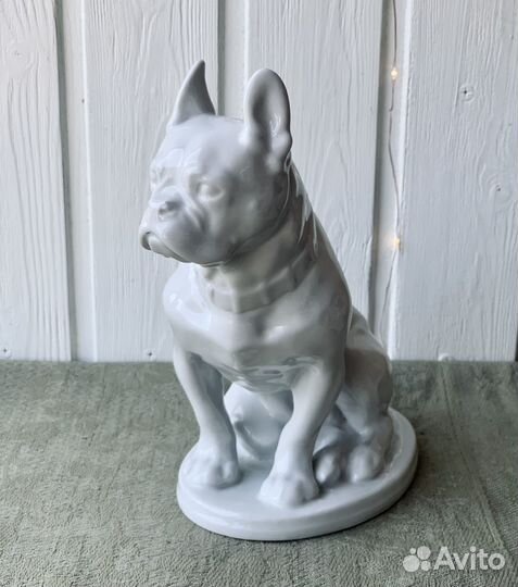 Фарфоровая статуэтка СССР, Бульдог белый, лфз
