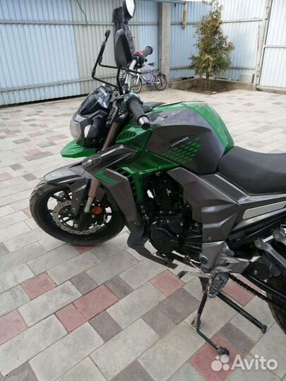 Regulmoto T-Leopard 300