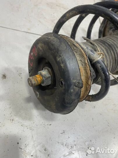 Амортизатор передний Citroen C4 1