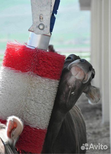 Автоматическая щётка-чесалка для крс