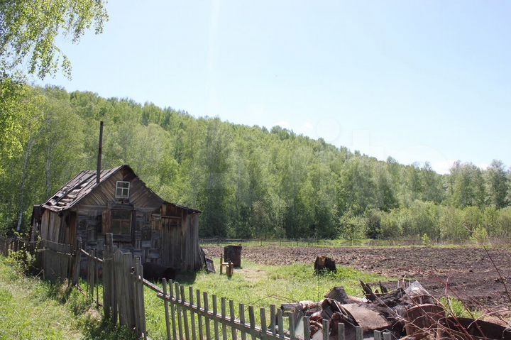 Участок 16,5 сот. (СНТ, ДНП)