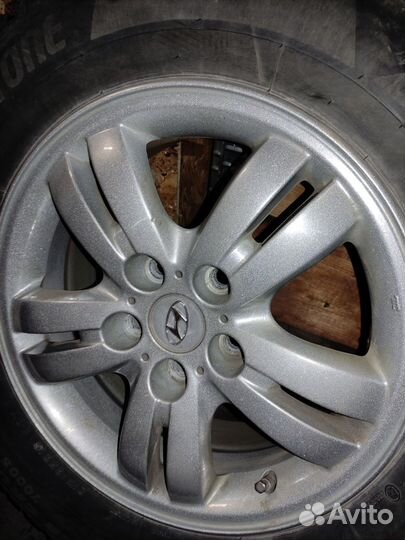 Колоса зимнии