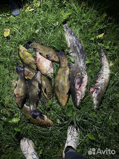 Отдых и рыбалка