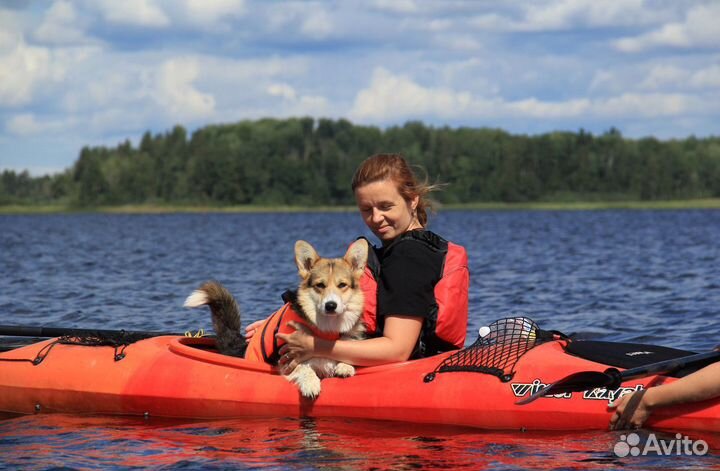 Походы выходного дня на каяках и байдарках Вуокса