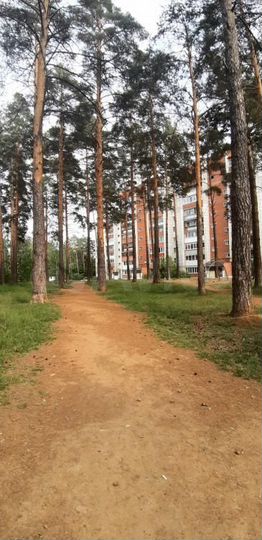 2-к. квартира, 55 м², 7/9 эт.