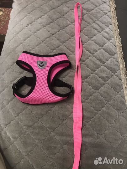 Шлейка с поводком