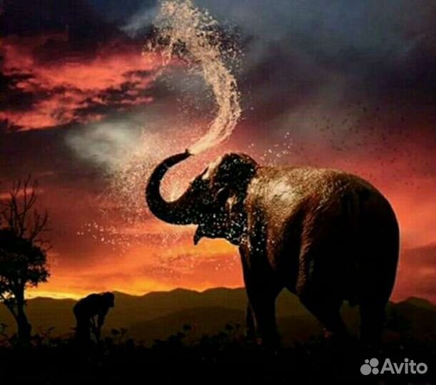 Наборы 40х40, 20х20, Картины Алмазная мозаика